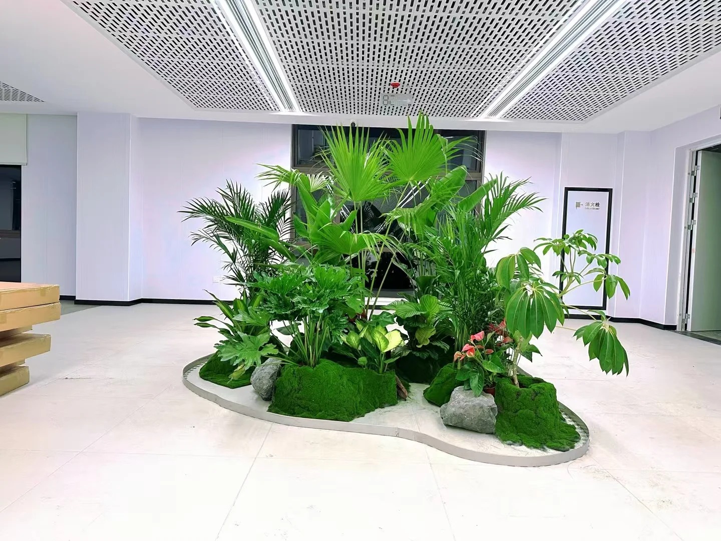 惊!江北绿植出租,价格亲民到超乎想象!><div class=